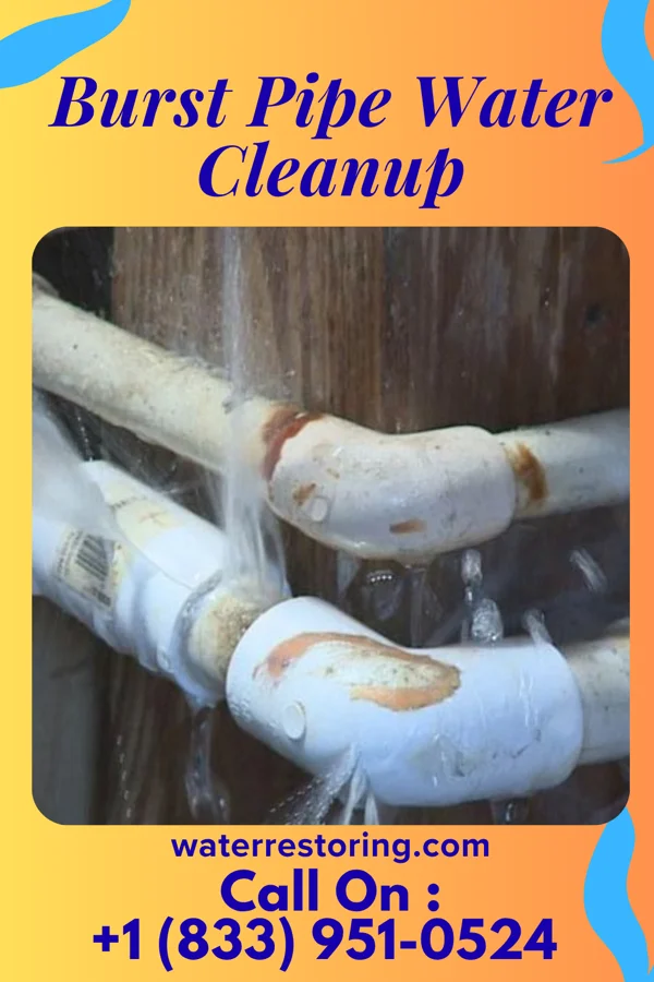 Burst Pipe Water Cleanup in Dry Ridge, KY