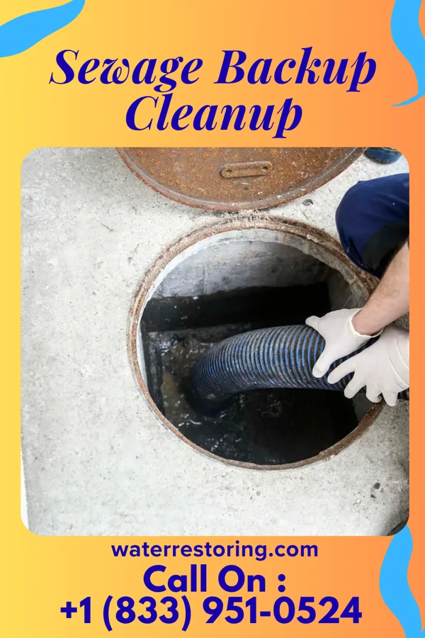 Sewage Backup Cleanup in Dry Ridge, KY